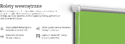 Modern roller blind en color verde