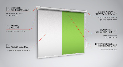 Modern roller blind en color verde