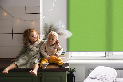 Modern roller blind en color verde
