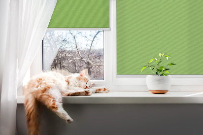 Modern roller blind en color verde