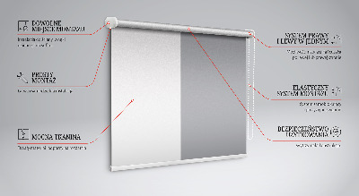 Modern roller blind en color gris