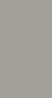 Modern roller blind en color gris