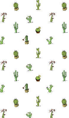 Estor enrollable para ventana con estampado de cactus
