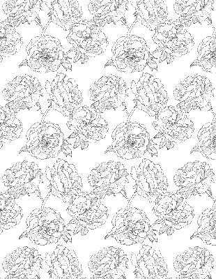 Modern roller blind con diseño de rosas dibujadas