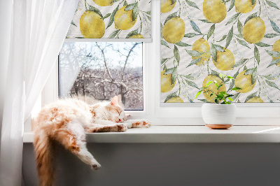 Estor enrollable para ventana con estampado de limones