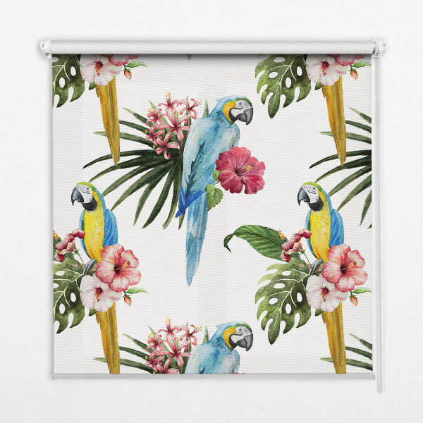 Estor enrollable para ventana con diseño de loro sobre flores