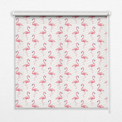 Modern roller blind con estampado de flamencos
