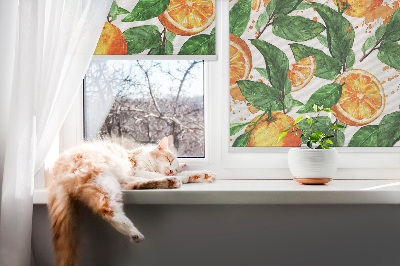 Estor enrollable para ventana con diseño de naranjas y hojas