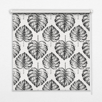Modern roller blind con lamas grises