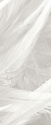 Modern roller blind con diseño de plumas