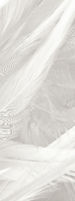 Modern roller blind con diseño de plumas