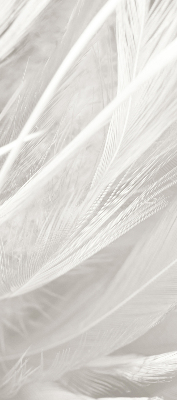 Modern roller blind con diseño de plumas