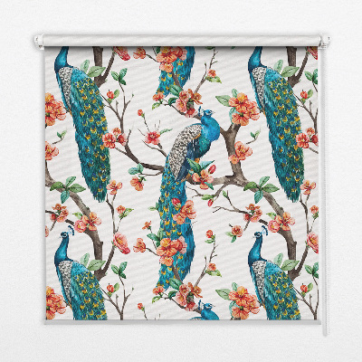 Modern roller blind con estampado de pavo real sobre una rama