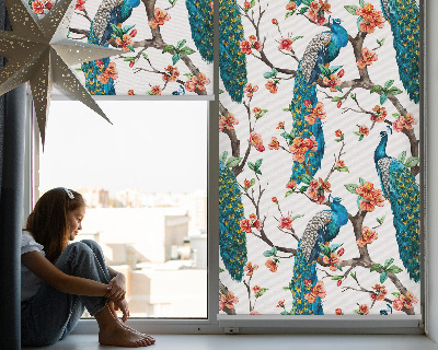 Modern roller blind con estampado de pavo real sobre una rama