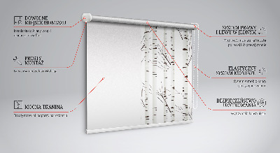 Estor enrollable para ventana con diseño de abedules