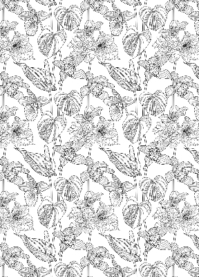 Estor enrollable con estampado de flores dibujadas