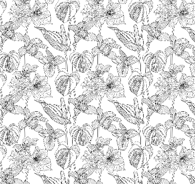 Estor enrollable con estampado de flores dibujadas