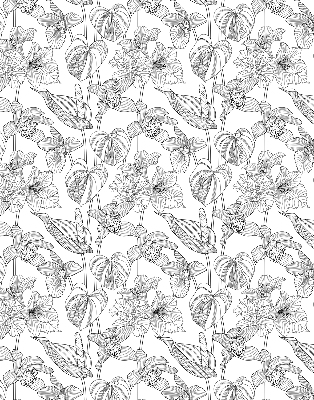 Estor enrollable con estampado de flores dibujadas