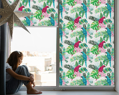 Estor enrollable para ventana con diseño de loros