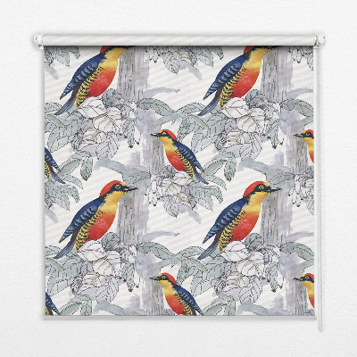 Estor enrollable para ventana con diseño de pájaro colorido