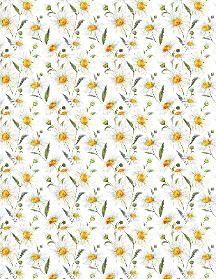 Modern roller blind con diseño de margaritas