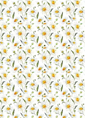 Modern roller blind con diseño de margaritas