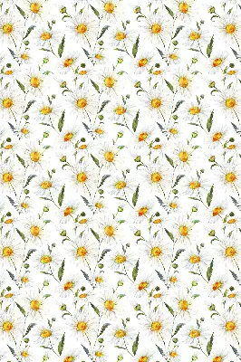 Modern roller blind con diseño de margaritas