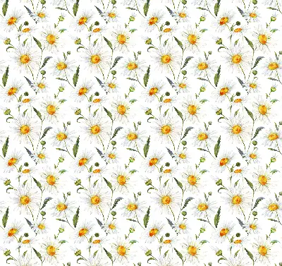Modern roller blind con diseño de margaritas