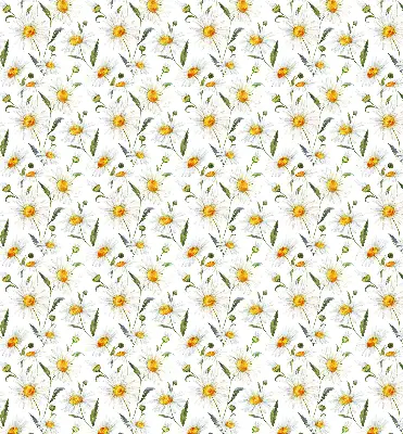 Modern roller blind con diseño de margaritas