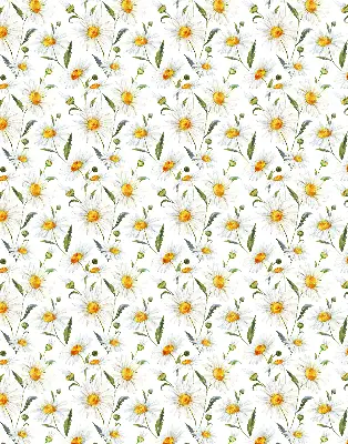 Modern roller blind con diseño de margaritas