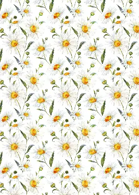 Modern roller blind con diseño de margaritas