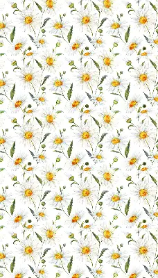 Modern roller blind con diseño de margaritas