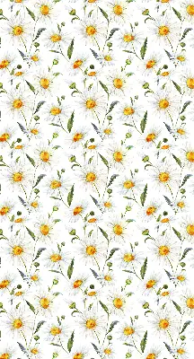 Modern roller blind con diseño de margaritas