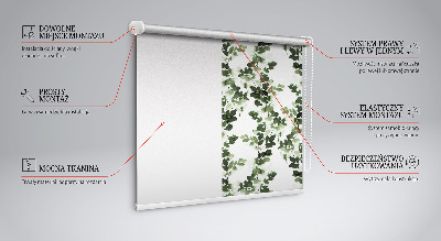 Modern roller blind con hojas