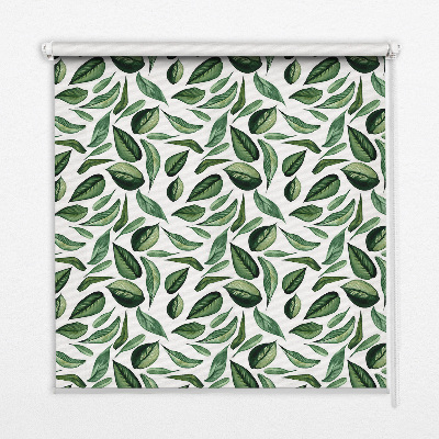 Estor enrollable para ventana con estampado de hojas que caen de los árboles