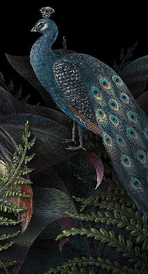 Estor enrollable con tejido Patki en color verde