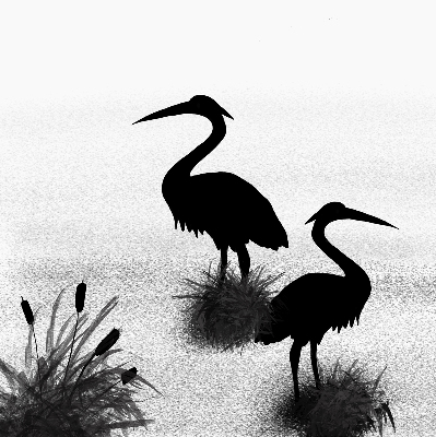 Estor enrollable con tejido modelo Garzas