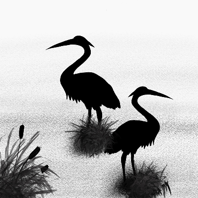 Estor enrollable con tejido modelo Garzas