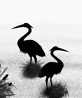 Estor enrollable con tejido modelo Garzas