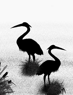 Estor enrollable con tejido modelo Garzas