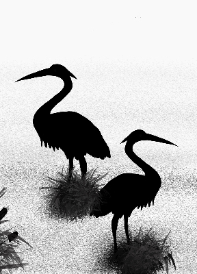 Estor enrollable con tejido modelo Garzas