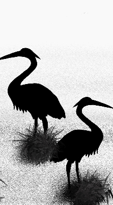 Estor enrollable con tejido modelo Garzas