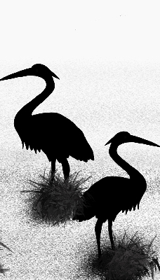 Estor enrollable con tejido modelo Garzas