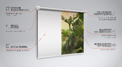 Modern roller blind con marco para plantas