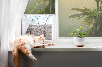 Modern roller blind con marco para plantas