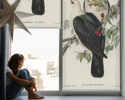 Estor enrollable para ventana con estampado de pájaros sobre una rama