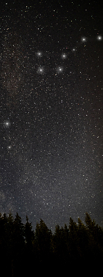 Modern roller blind con estampado de estrellas sobre fondo oscuro