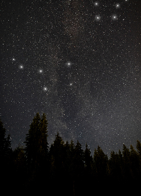 Modern roller blind con estampado de estrellas sobre fondo oscuro