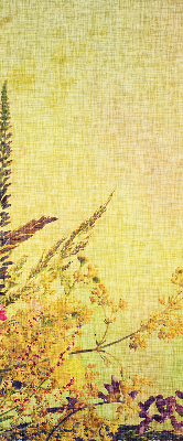 Estor enrollable para ventana con estampado de plantas