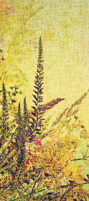 Estor enrollable para ventana con estampado de plantas